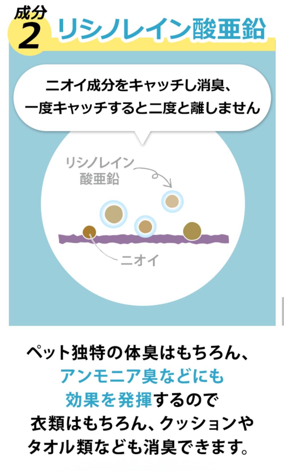 ペットの抜け毛対策