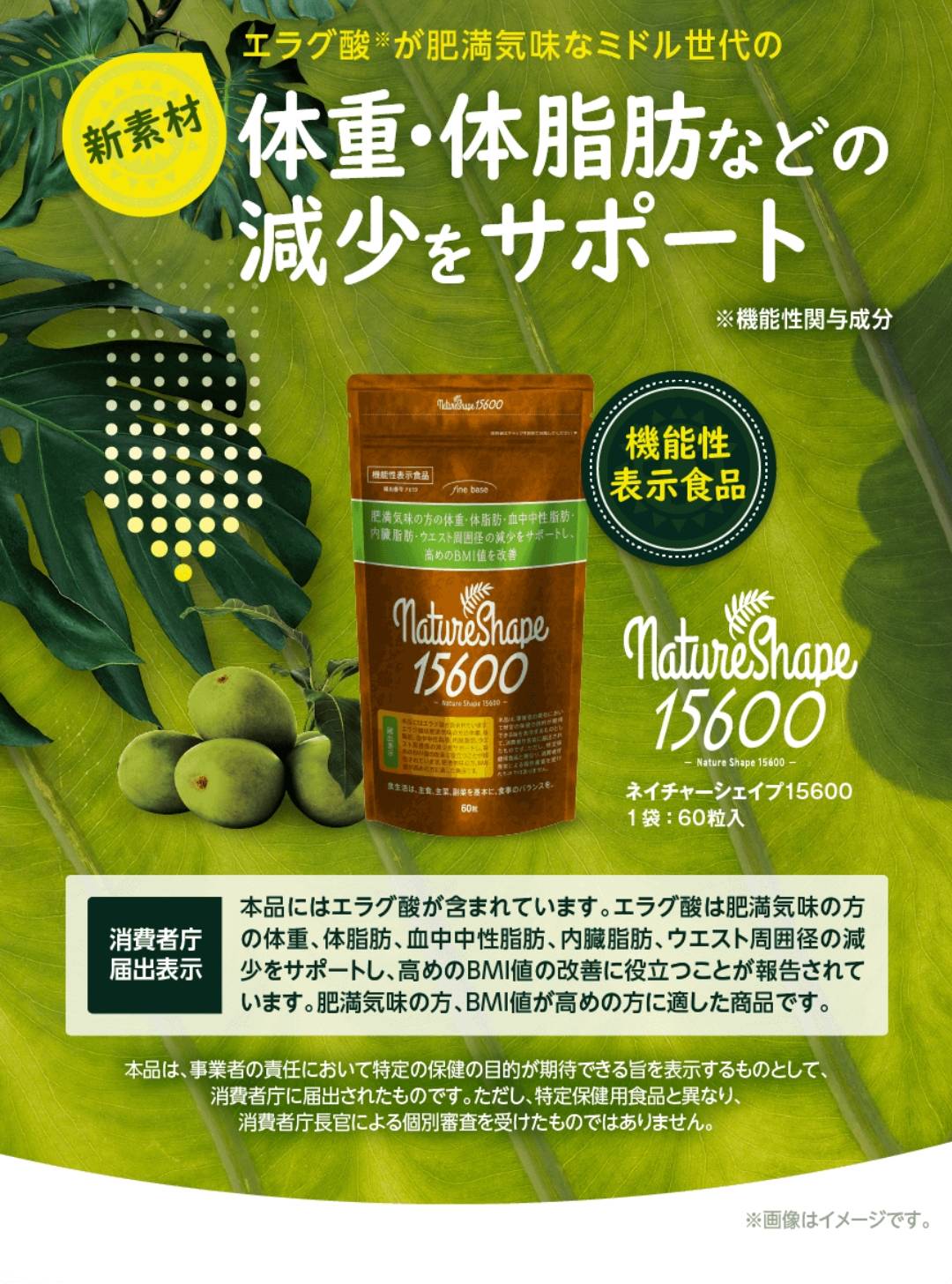 肥満気味な方をサポート