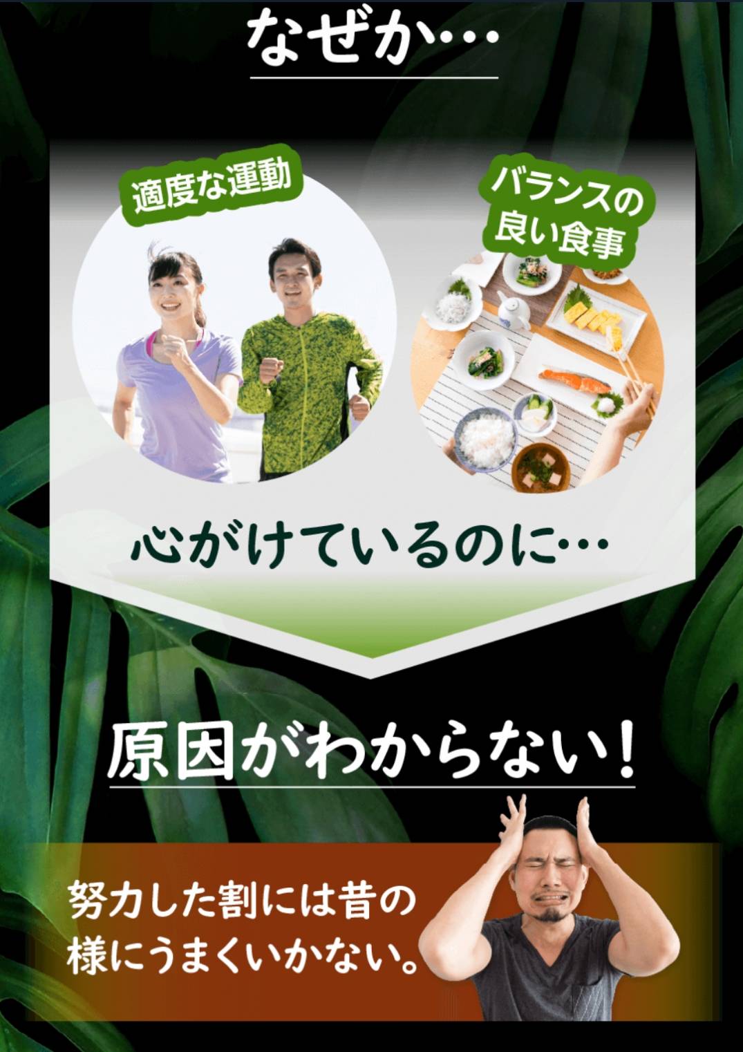 肥満気味な方をサポート