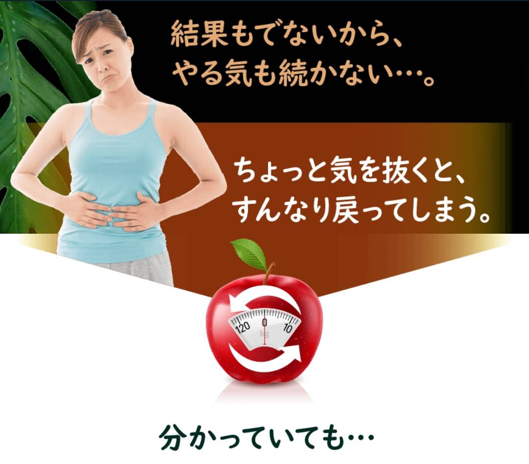 肥満気味な方をサポート