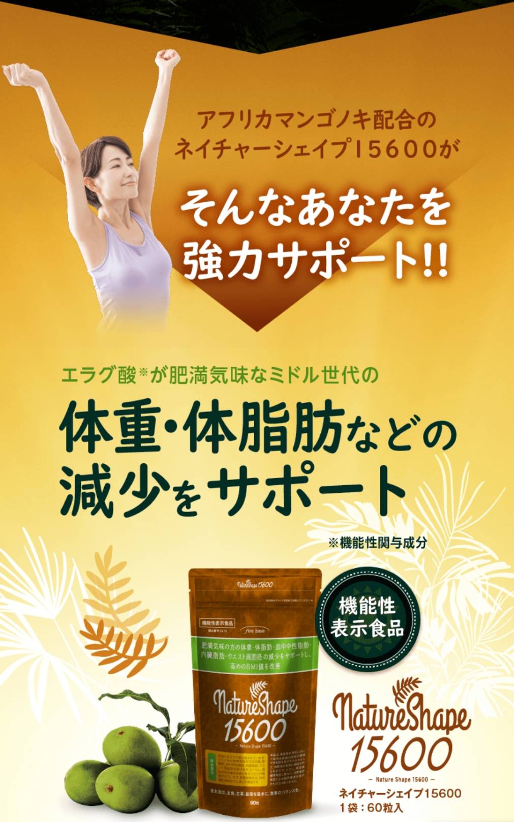 肥満気味な方をサポート