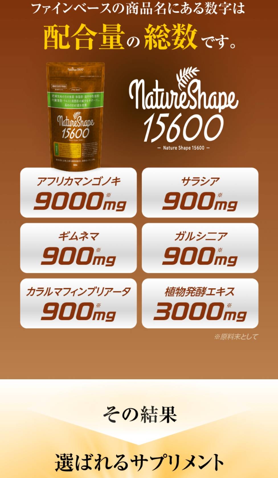 肥満気味な方をサポート