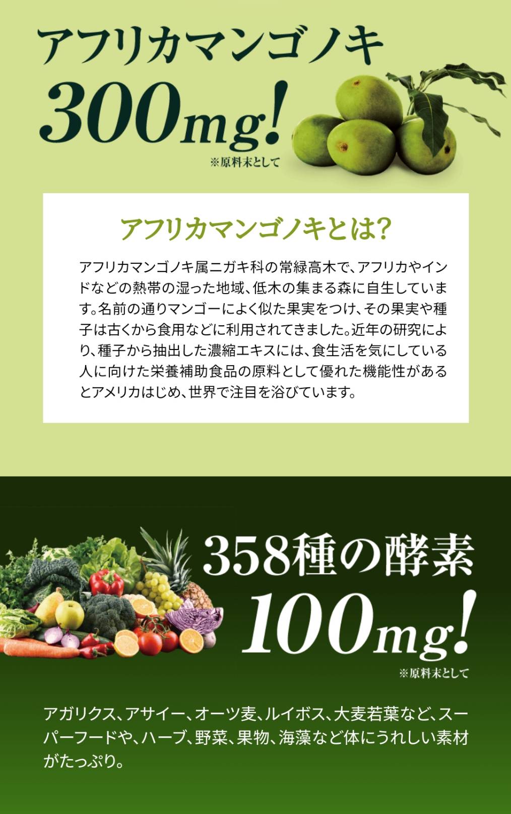 肥満気味な方をサポート