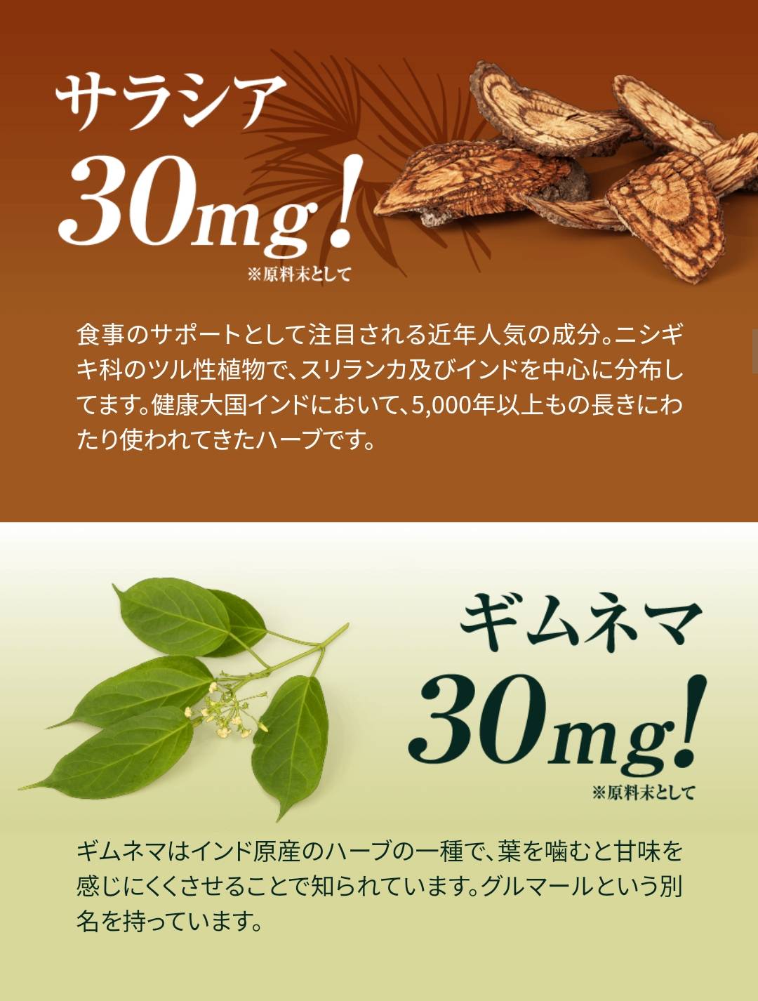 肥満気味な方をサポート