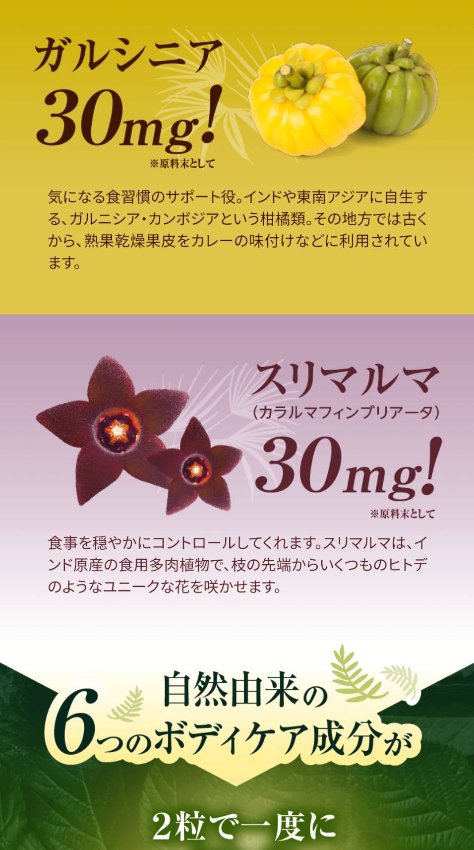 肥満気味な方をサポート