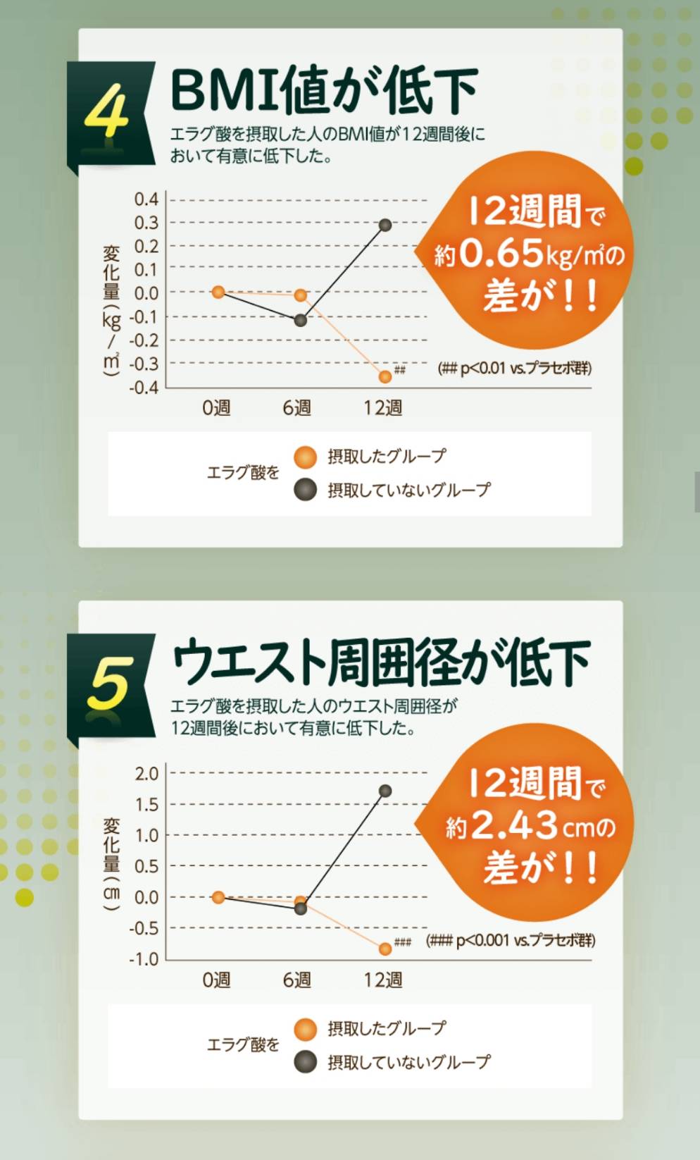 肥満気味な方をサポート