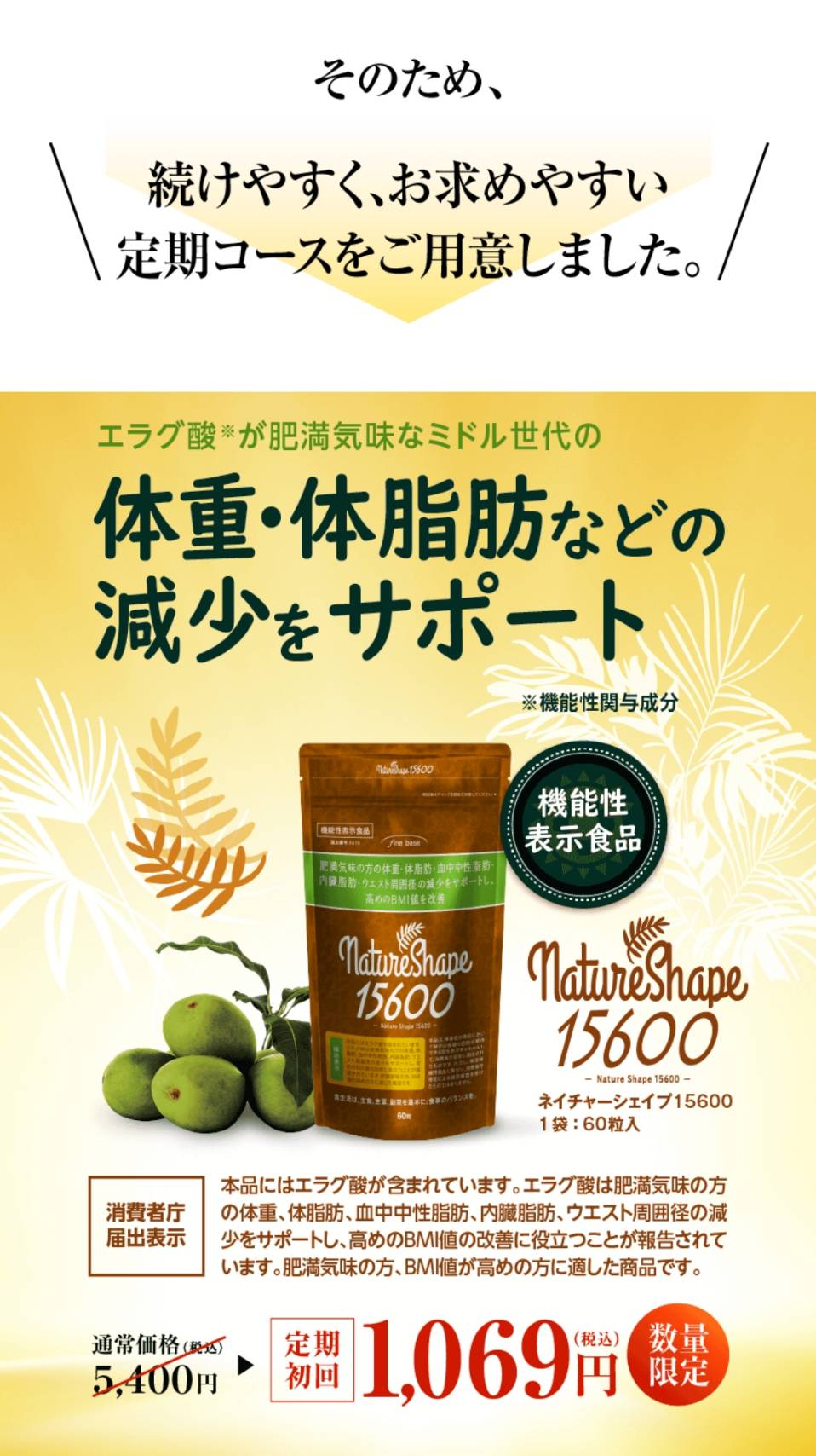 肥満気味な方をサポート