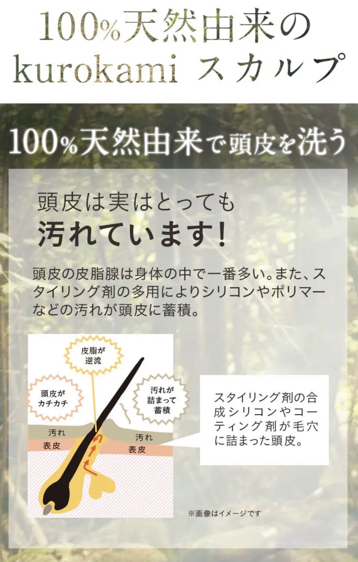 100％天然由来のケアシャンプー